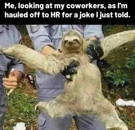 ﻿Me, looking at my coworkers, as [m hauled off to HR for ajoke Ijust told: