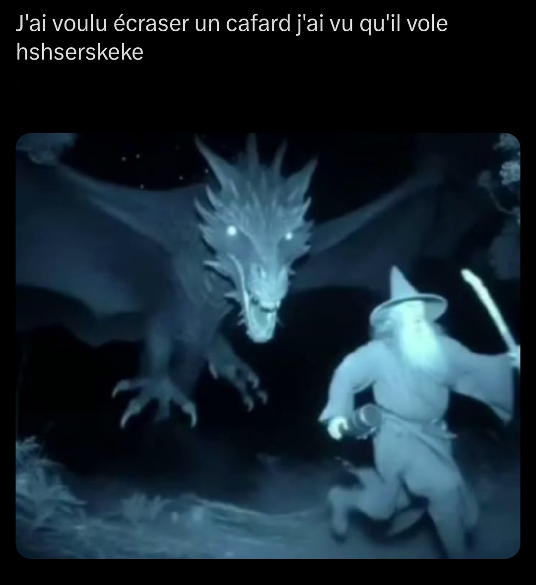- - meme