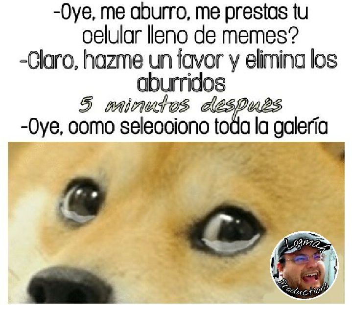 ¡Le pain! - meme