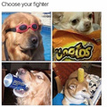 Doggo fighter