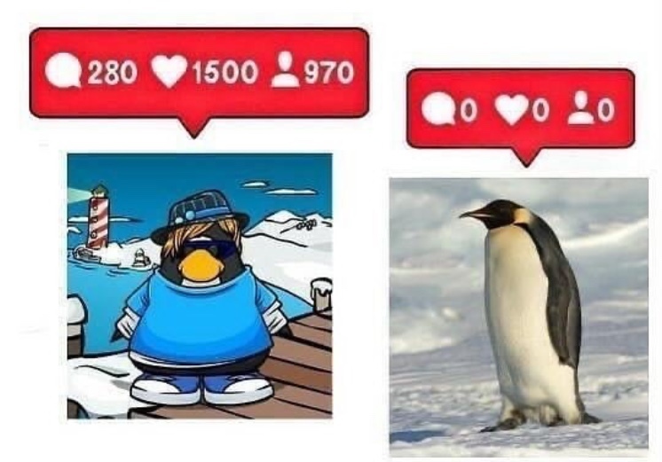 club penguin meme  Club penguin memes, Penguins funny, Club penguin