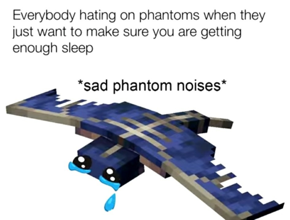 Anti-phantom hate - meme