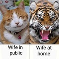My wife in public vs my wife at home