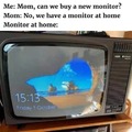 A monitor is a monitor...right? :badpokerface: