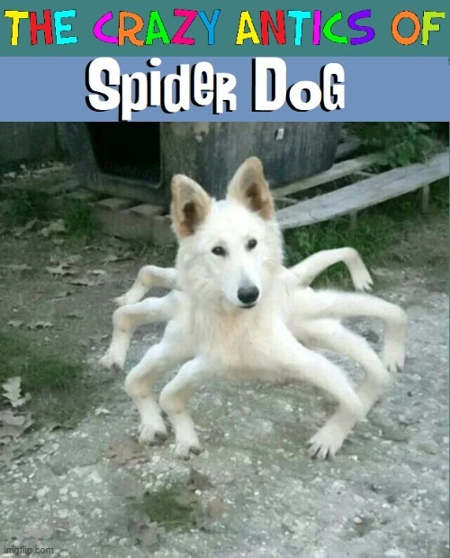 Cursed spider dog - meme