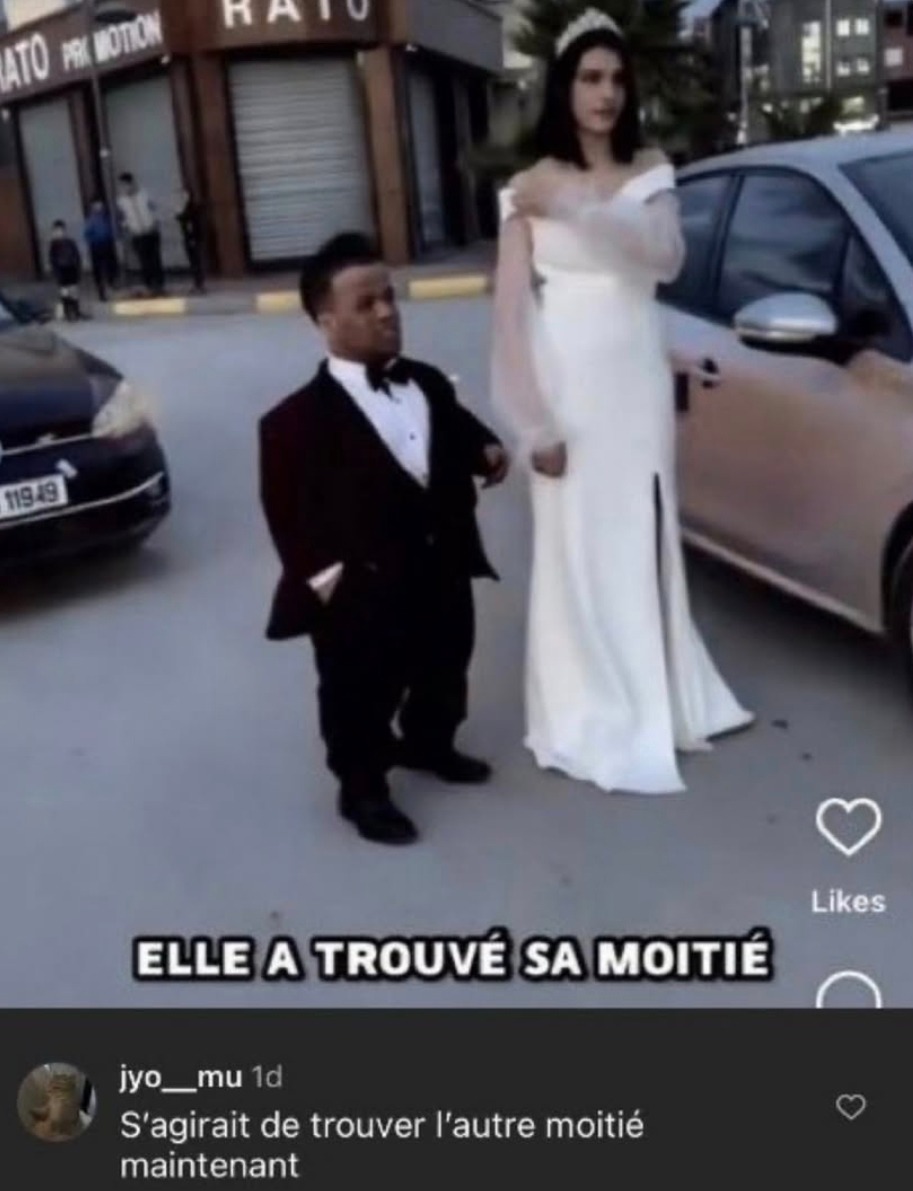 Elle a trouvé sa moitié - meme