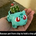 A Bulbasaur pot