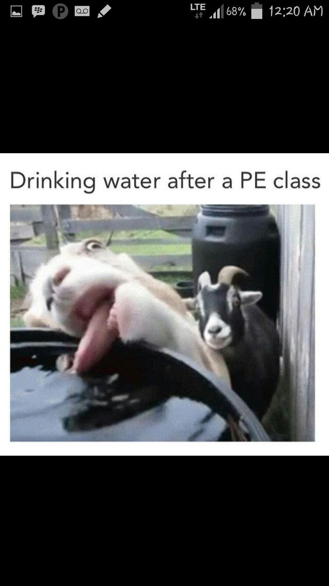 PE class! - meme
