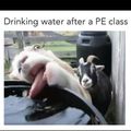 PE class!