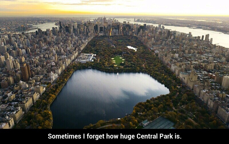 Central Park - meme