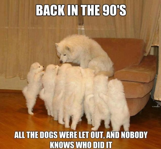 WHO LET THE DOGS OUT - meme