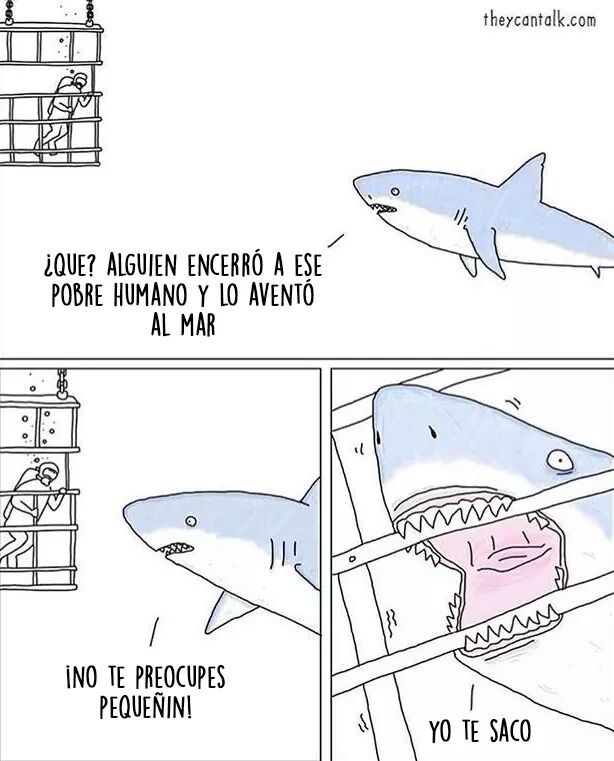 Perspectiva de un tiburon - meme