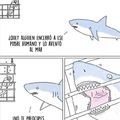 Perspectiva de un tiburon