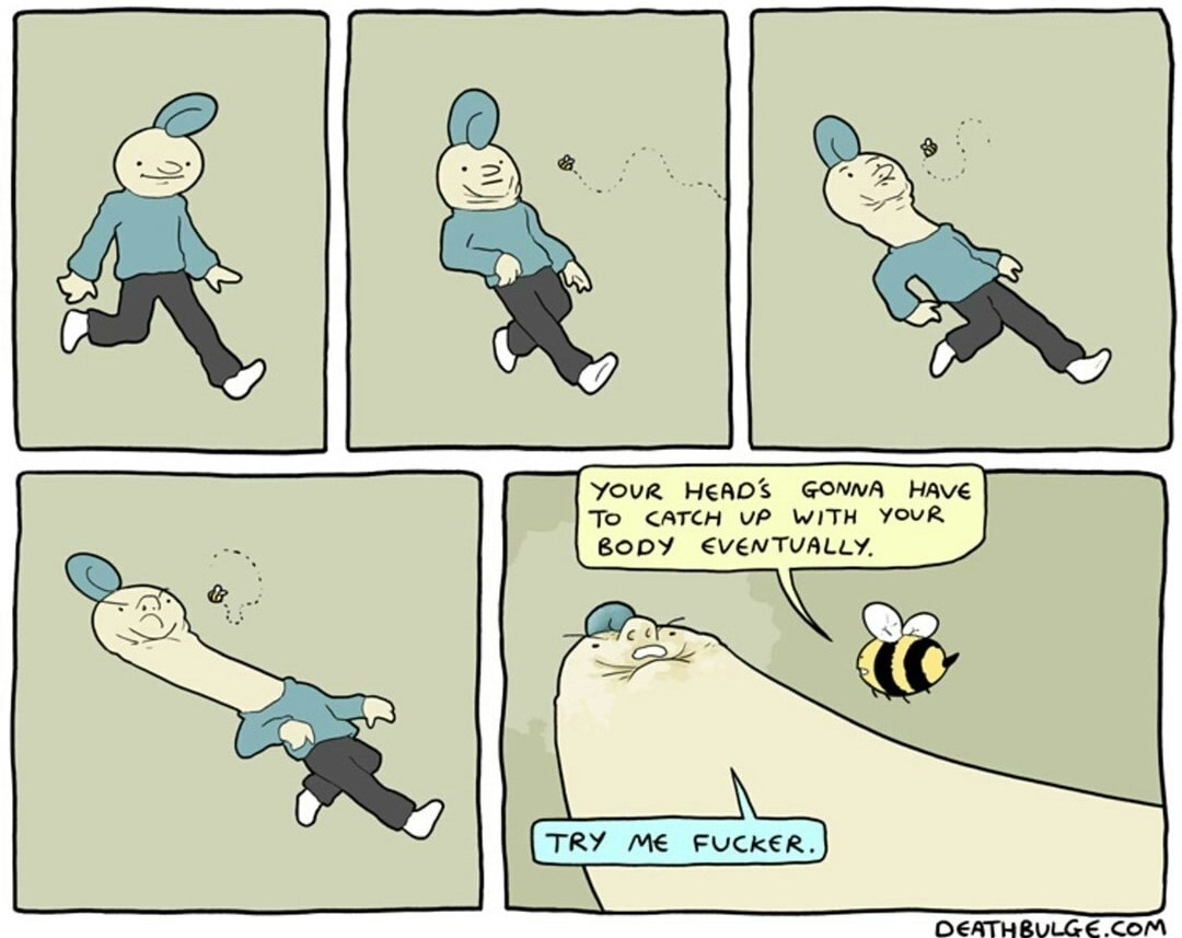 bees are friends - meme