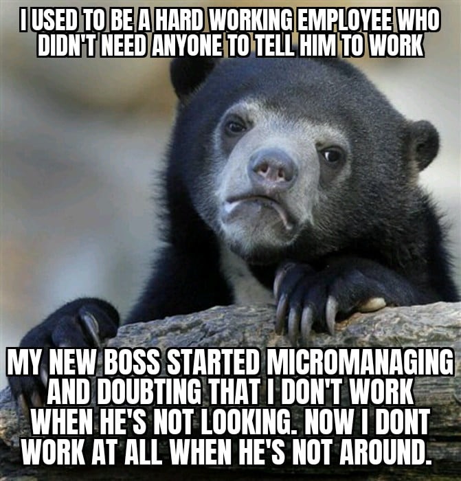 Micromanaged work - meme