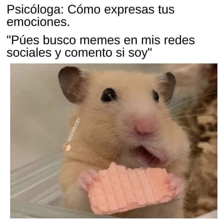 SI SOY - Meme subido por Kaleno87 :) Memedroid