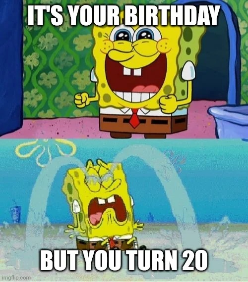 20th birthday meme