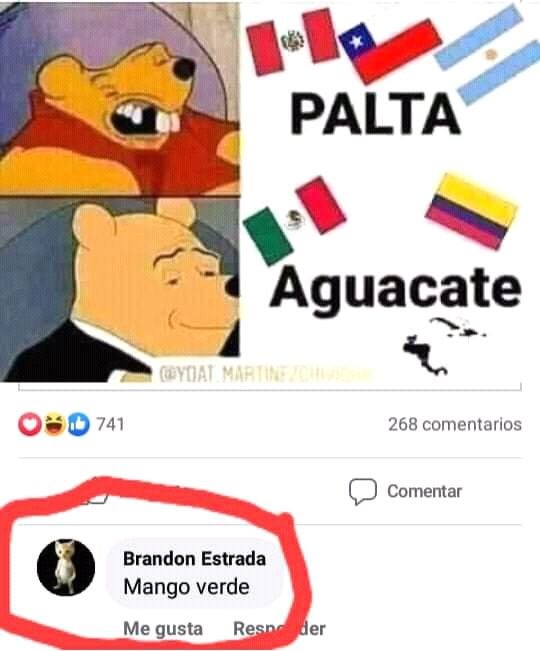 palta vs aguacate - meme