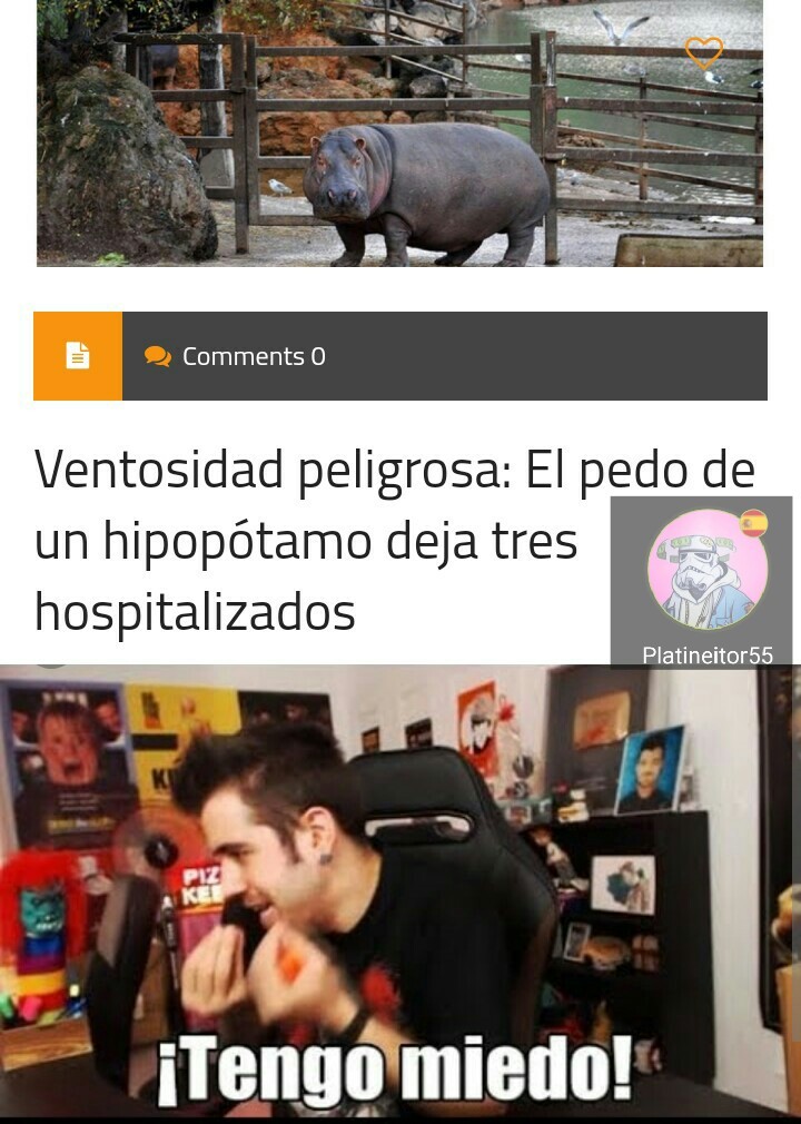 Hipopótamo - meme