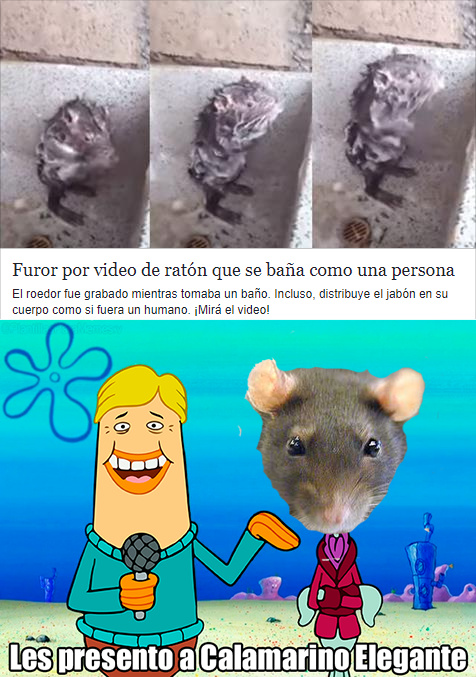 Les presento a Ratatouille Elegante - meme