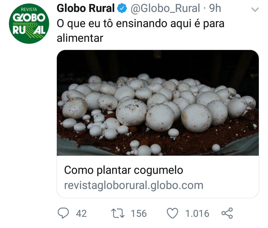 Globo Rural ia Proerd - meme