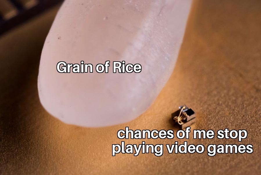 Grain of rice - meme