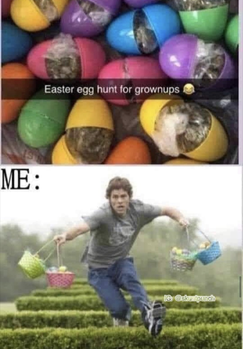 Eggies - meme