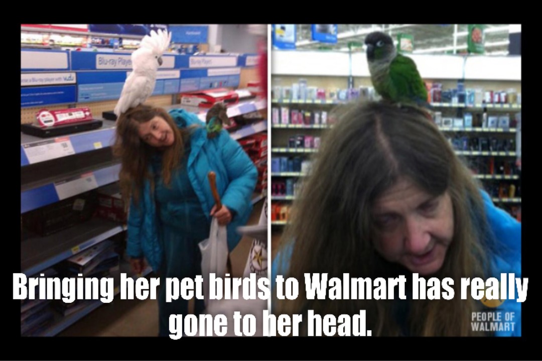 Of course this might not be her birds it could be a random attack : ) - meme