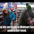 Of course this might not be her birds it could be a random attack : )