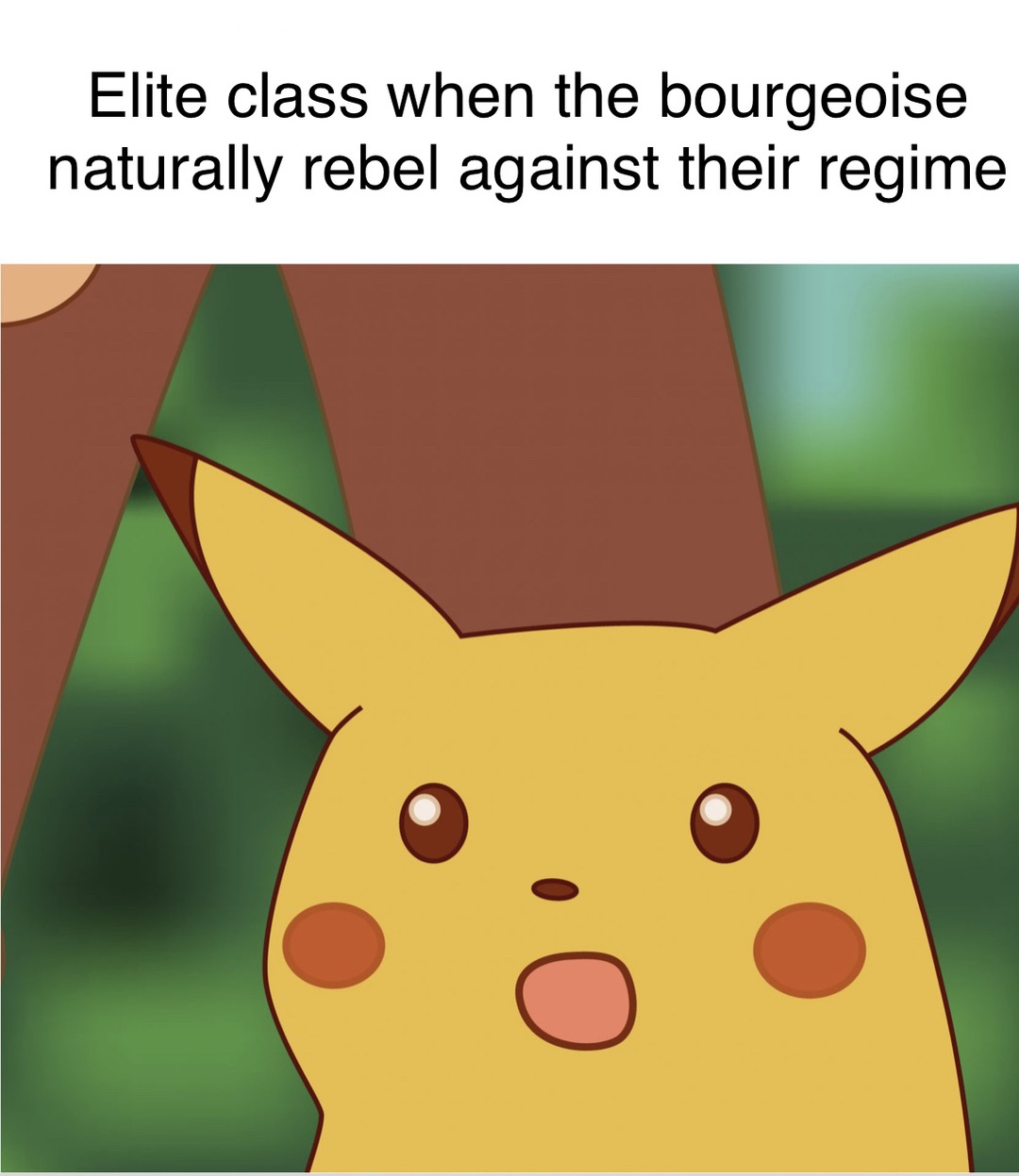 resist the order - meme