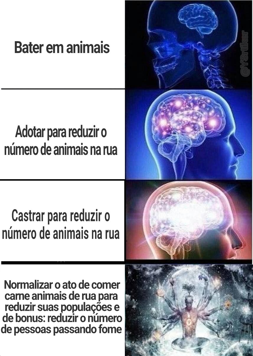 30 memes para alegrar a sua semana  Memes engraçados de gato, Memes  engraçados, Engraçado