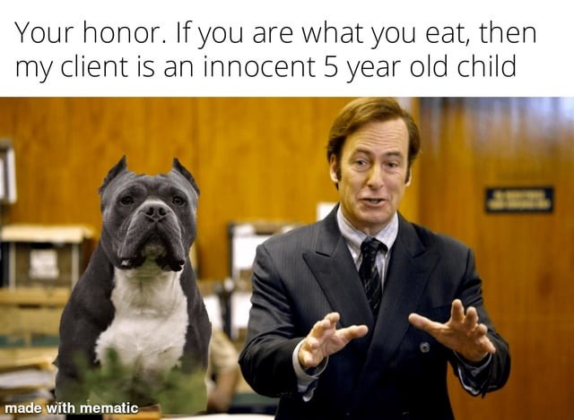 Innocent pitbull - meme