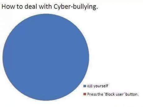 A new twist on cyber bullying - meme