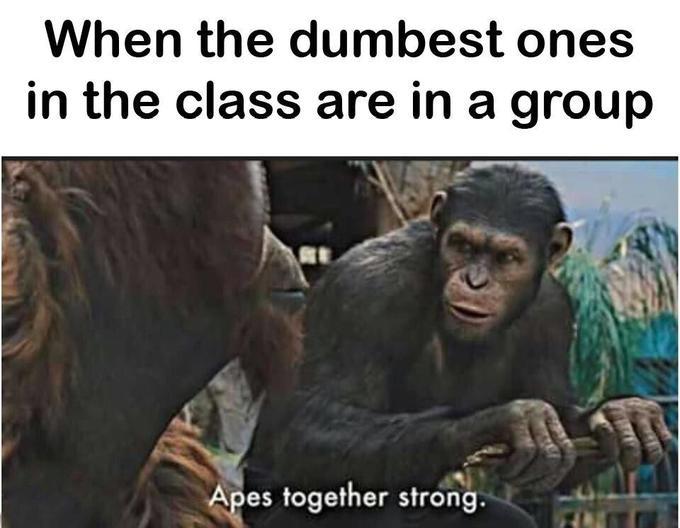 When they get the highest grade in the class - meme