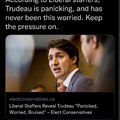 According to Liberal staffers, Trudeau is panicking, and has never been this worried. Keep the pressure on.