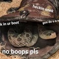 theres a snek in me boot