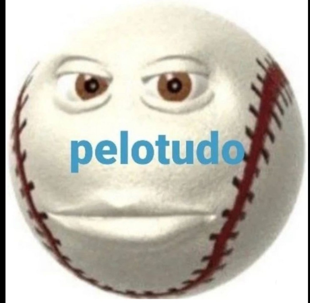 Pelotudo - meme