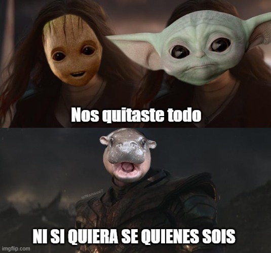 Meme de Moo Deng
