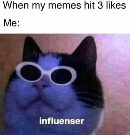 On social media - meme