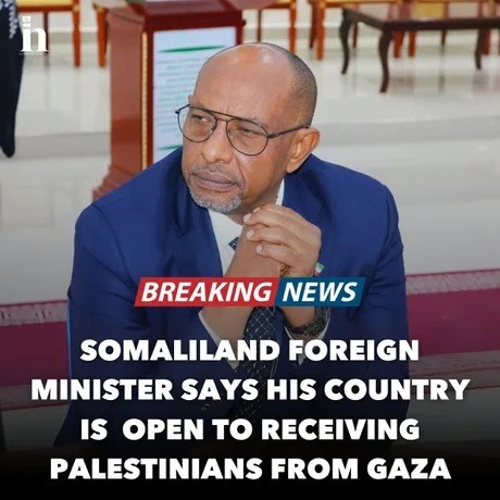 Somaliland out here casually offering refugee real estate - meme