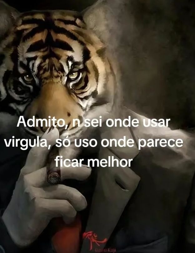 Eu,sou assim - meme