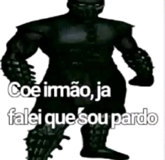 Já falei pô - meme