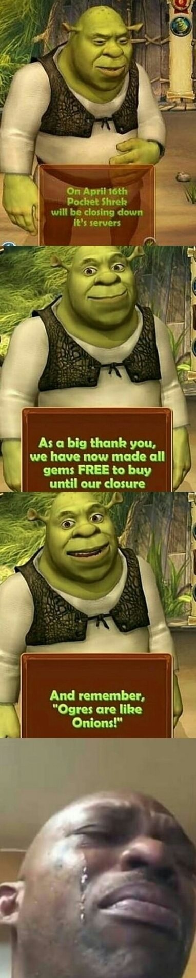 Nooooooo not Pocket Shrek - meme