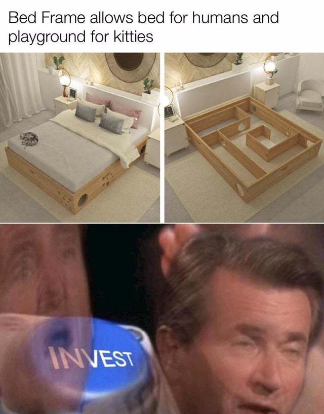 Bed frame allows bed for humans and playground for kitties - meme