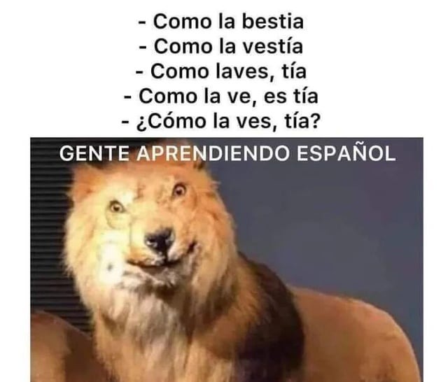 Aprendiendo español - meme