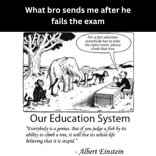 The best Fail memes ) Memedroid