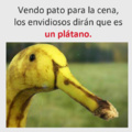 Es Un Pato No Un Plátano >:v