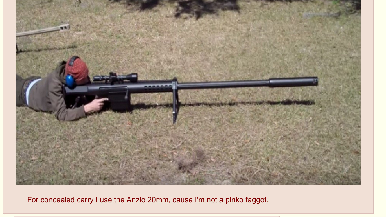 что такое снайперская винтовка с затвором в пабг фото 79