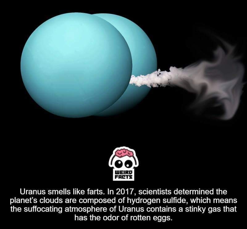 Uranus smell like fart - meme