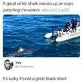 Anti vaxx shark